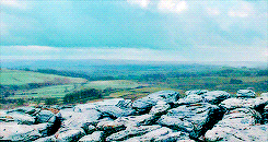 the-absolute-best-posts:   Harry Potter Challenge: Forty Scenes
