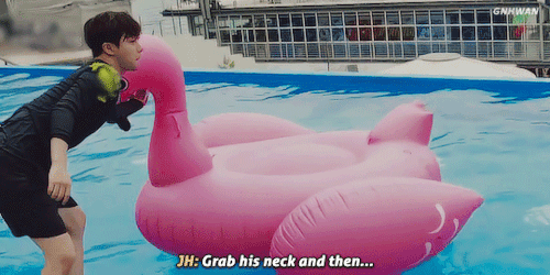 fairy-jnani: gnhwan:How to tame a pink flamingo: tutorial by Kim Jinhwan lol too much cuteness at on