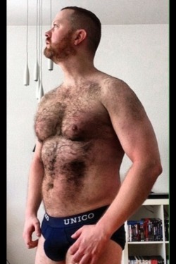  The two hairy men blogs: /