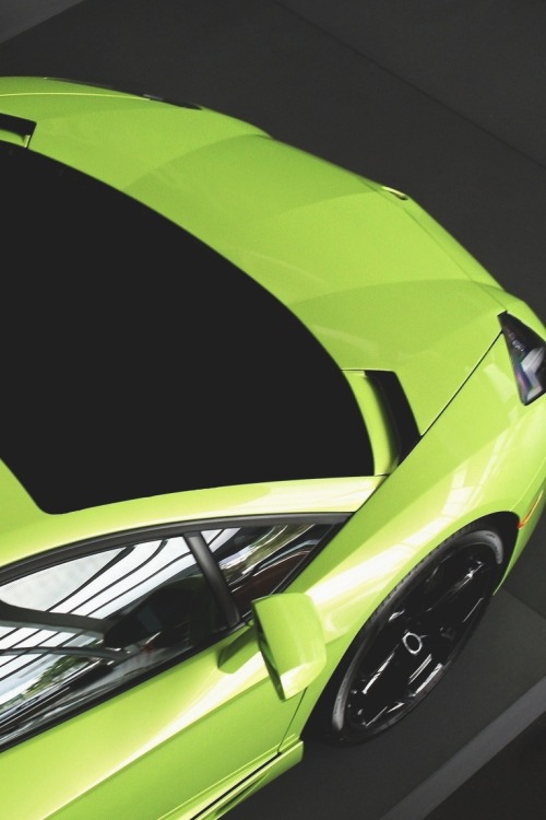 exclusive-pleasure:  Verde 