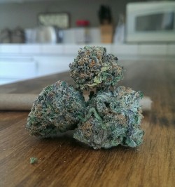 nuug-life:  purple og