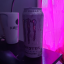 xxnovabunxx