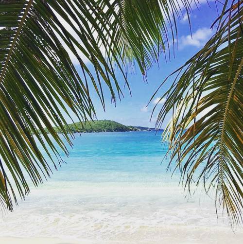 Wishing we were here on this hump day!#dianesbeachwear #usvirginislands #stjohns