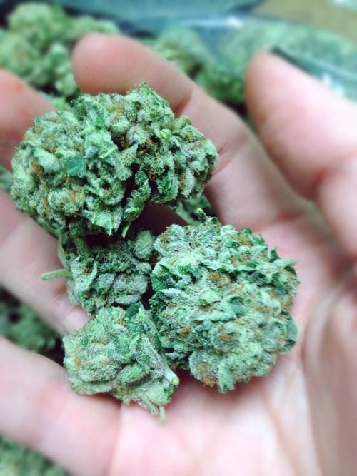mamaakush:  Kush.