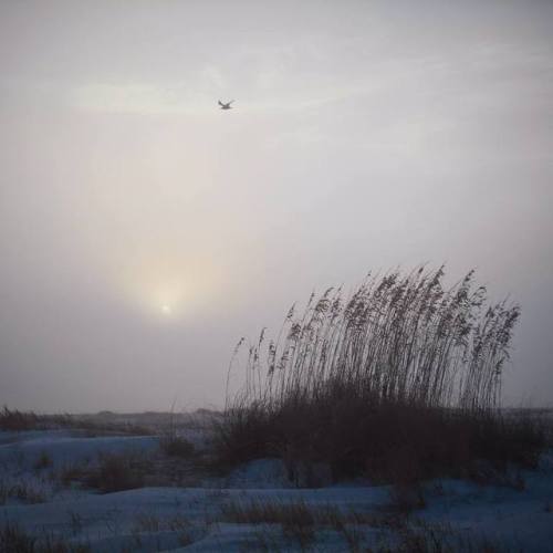 s0irenic:Flying Solo  -  Photography by Joseph Shields