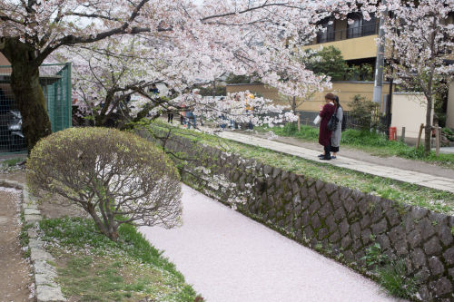 sancty:path of philosophy, kyoto by SanctyYumi