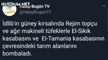 Halep Bugün TV...