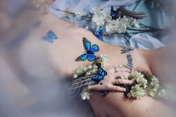 camdamage:  “just when the caterpillar thought the world was over, it became a butterfly..”cam damage by self | [more here]