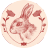 Illustrated Rabbit