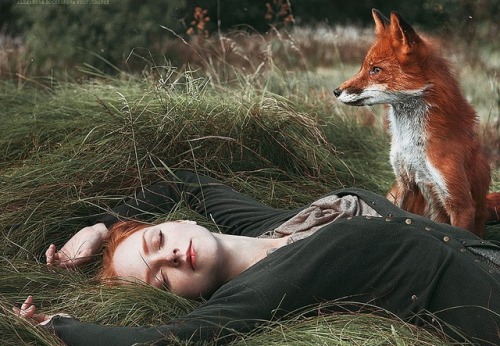 Porn drxgonfly: Girl and Fox (by  Alexandra Bochkareva) photos