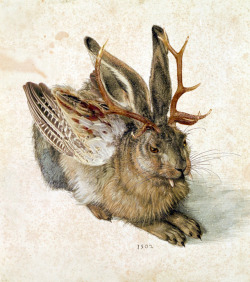 cryptids-of-the-world:  The Wolpertinger is a rabbit-like creature from Bavaria Germany. The Wolpertinger is described as a rabbit with bird wings, deer antlers, and fangs of some sort. Sadly however like the Jackalope of North America the Wolpertinger