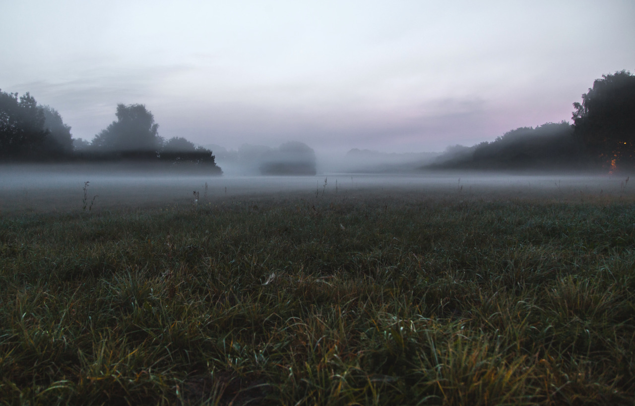 dennybitte:  refresh in october 2015 by Denny Bitte 