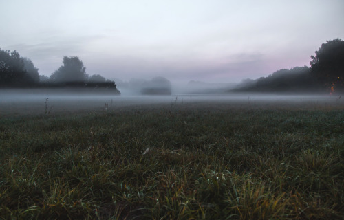 dennybitte:  refresh in october 2015 by Denny Bitte 