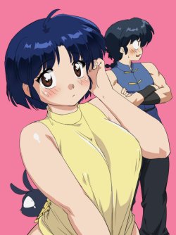 Rumicworld-Ranakan-Diaries:  Ranma ½   Ranma Saotome, Akane Tendo, And P-Chan.