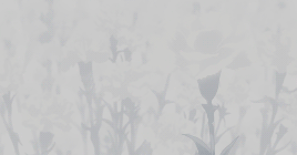 ichimatsus:— alllosses in this world are due to a lack of ability. if you want to curse something, c