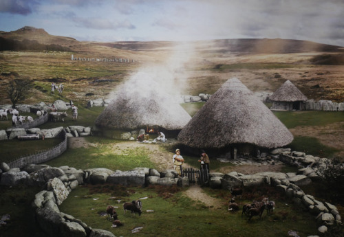 Shaugh Moor Bronze Age Track Way Cast, Dartmoor National Visitor Centre, 27.12.17.This cast was take