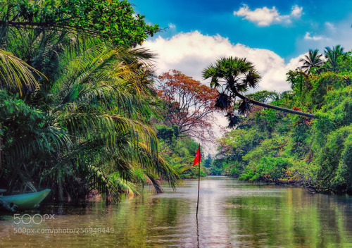 Dutch canal in Negombo. by emzet70