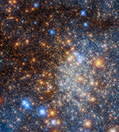 A scattering of red-orange and blue stars fill the frame of the black background in space. Interstellar gas and dust at the center-right of the image is covering the star cluster and altering the view to see more red wavelengths. Credit: NASA, ESA, ESA/Hubble, Roger Cohen (RU)