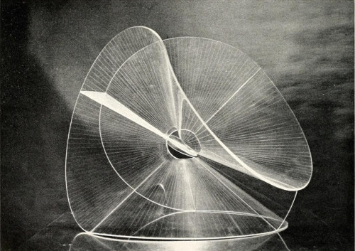 dansleparadisartificiel:  translucent variation on a spheric theme / 1937Naum Gabo