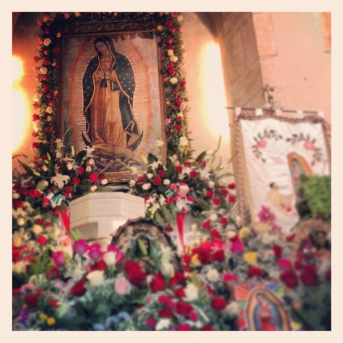 ¡Que viva la Virgen de Guadalupe! (at St. Peter R.C. Church)