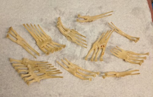Hey, uh, any ideas as to why all these ribs are&hellip; Like this? There&rsquo;s nothing emb