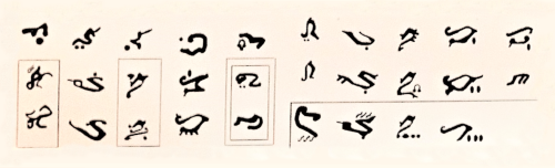 dswcp:This alien alphabet was designed by Iain McCaig for Attack of the Clones – specifically, I thi