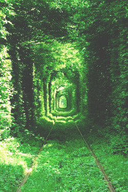 wnderlst:  Tunnel of Love, Ukraine   