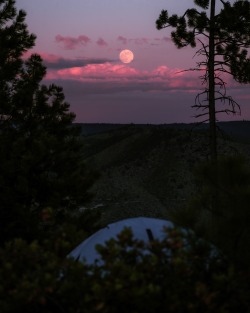eddie-kruger:Camping under May’s Flower Moon 