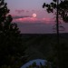 eddie-kruger:Camping under May’s Flower Moon 
