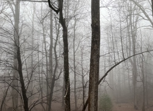 Last Night. A Thick Fog Fell Onto The Beach And The Surrounding Areas. I Was Getting Phone Calls Telling
