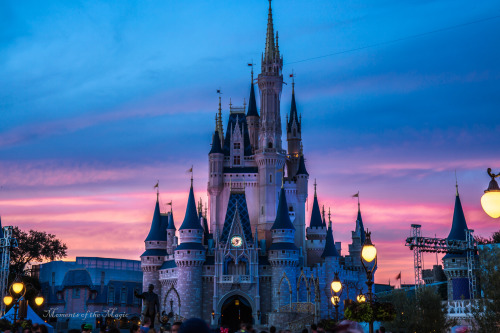 Disney World