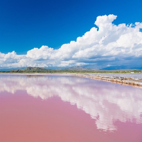 jeflondon:Lake Retba, Senegal  