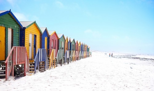 woodmore:  Photo by Arno Smit 