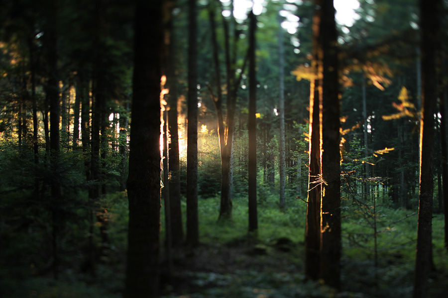brutalgeneration:  (by ~ Jonathan ~)