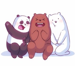 wulichan:bears