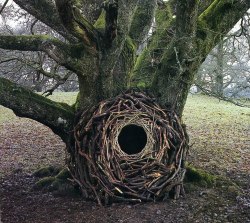 atoxicdeathwish:   Art x Nature. Andy Goldsworthy