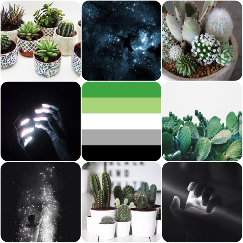 queerlobby: What’s better than romance? Cacti and starlight. And also tons of things actually.