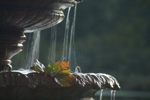 afaerytalelife:Fall, by Heather.
