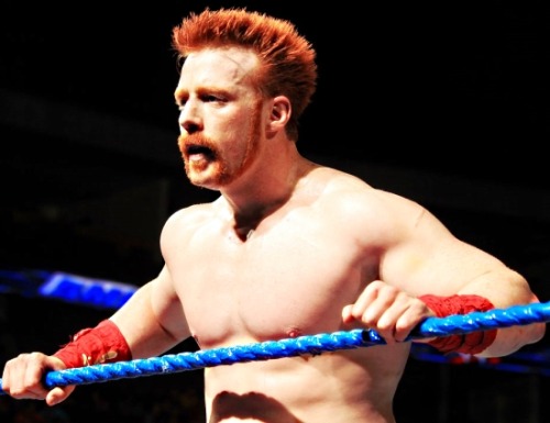 Porn Pics wwe-4ever:  Random pics of Sheamus  Random