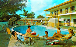 1950sunlimited:  Royal Palm Motel  Clearwater, Florida 1950sunlimited@Flickr 