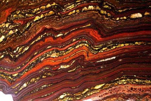 fuckyeahmineralogy: Banded Iron Formations (often referred to as BIF) such as this specimen are Prec