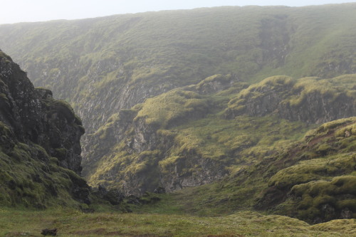 Morning hike in Iceland. My lens cap fell and rolled into a hole here…the Icelandic elves mus