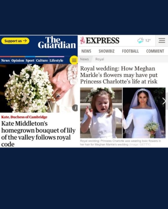 Meghan Markle's Wedding Flowers Put Princess Charlotte 'At Risk