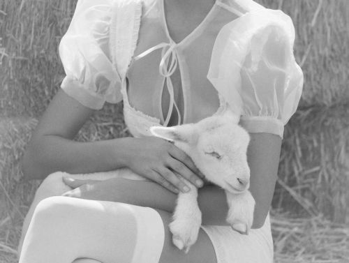 shepherdess-blog: from the for love & adult photos