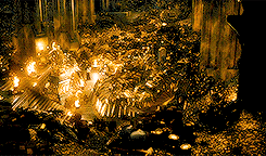 elvenking:  Who can you trust?Who can you trust? When everything, everything, everything you touch turns to    gold      GOLD        GOLD 