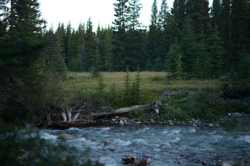 andrewadams: July 2016, Banff National Park