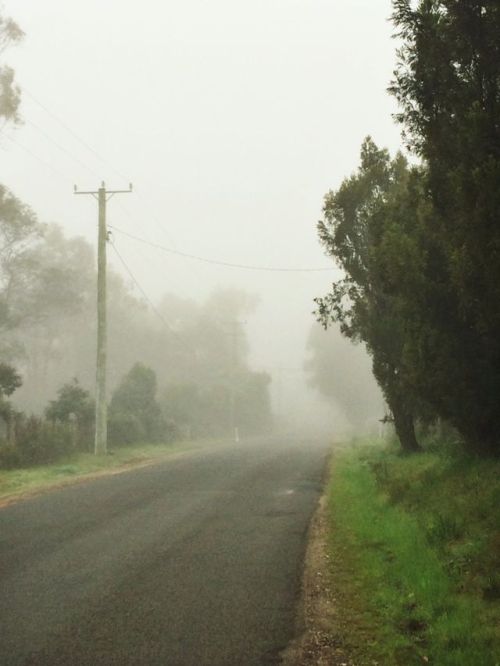 Porn photo misste: this morning was so hauntingly pretty