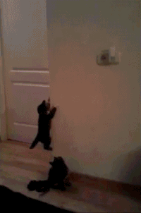 rootfauna: the-real-adam-taurus:  rootfauna:  juxtapoesition:   the-real-adam-taurus: