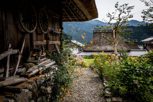 todayintokyo: a-kichi: かやぶきの里の秋彩 Kabuki no Sato in Miyama, Kyoto prefecture 