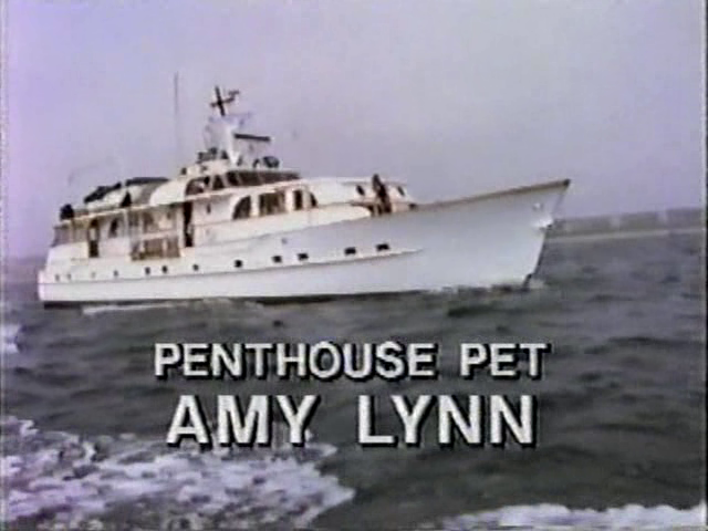 Lynn pet amy penthouse In the